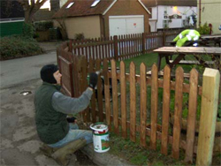 Painting Fencing
